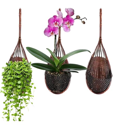 ShopLaLa Wall Planter - 2 Pack Wooden Orchid Planter Frame Display