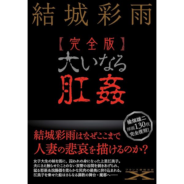 Amazon.co.jp: 大いなる肛姦 下 (結城彩雨文庫) : 結城 彩雨: Japanese 