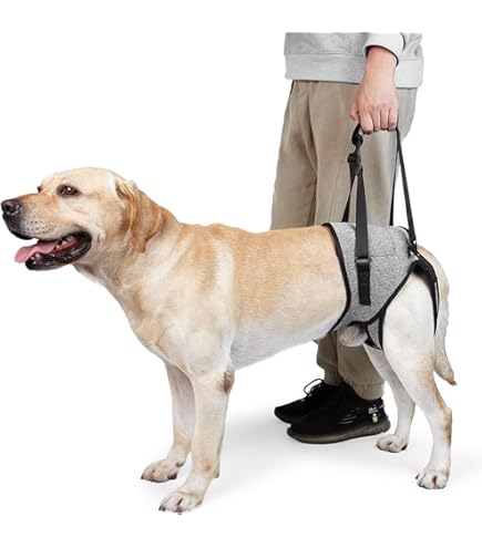 With(ウィズ) 歩行補助ハーネス LaLaWalkコーギー Kabuki Amazon | With(ウィズ) 歩行補助ハーネス LaLaWalk 中型犬