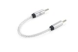 iFi audio 4.4mm to 4.4mm cable 4.4mmバランスケーブル【国内正規品】