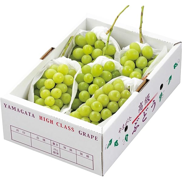 Amazon.co.jp: 訳あり シャインマスカット 4パック入り : 食品