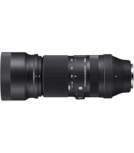 150-600mm F5/-6.3 DG DN for Sony E : Amazon.sg: Electronics