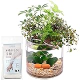 アクアテリア P150S ベタ用（ガラス水槽と水耕栽培プランター）【水槽おそうじ手袋セット】