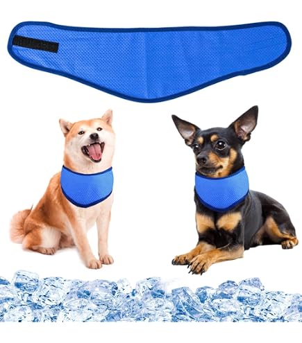 Amazon | 【LIFELIKE公式】ビタミンカラーバンダナ S M L 犬 クール