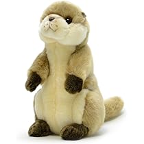 カワウソ カワウソさくら on X: 