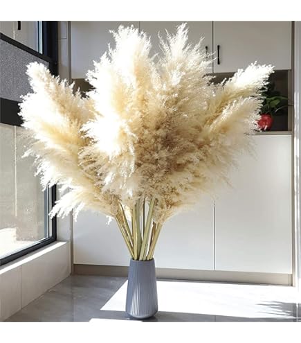Fluffy　パンパスグラス Amazon | 10 ps天然パンパスグラス48インチ（70 cm）ふわふわ