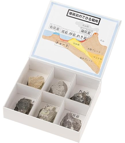 Amazon.co.jp: 東京サイエンス 岩石標本 岩石標本変成岩6種