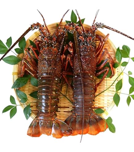 Amazon.co.jp: テーブルマーク 鹿の子えび団子 冷凍 25g 30個