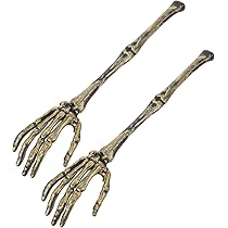 アザラシの腕の骨セット 71Oo4lfK6yL._AC_UL210_SR210,