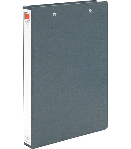 a20　ファイル2冊 578SPオレ シンプリーズZファイル キングジム A4タテサイズ