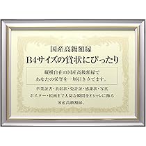 額縁有無は相談可能。T.NISHIGAKI ハイデンベルグの城門　ドイツ　Ｆ４ ジョイント エッジ ホワイト JBG-EW 4975149596645
