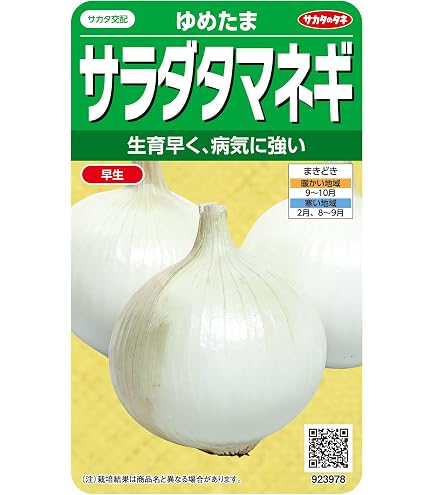 Amazon | タキイ種苗 野菜種 タマネギ 春一番サラダ玉葱 フォーカス | 野菜