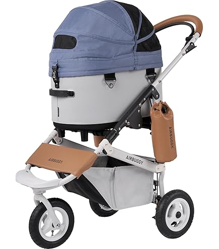 エアバギー　ドーム3 プレミア　アーバンホワイト　レギュラー Amazon.co.jp: ドーム3 プレミアSPECIAL EDITION レギュラー