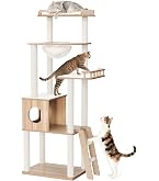 Amazon | 「2026年の新スタイル」Nonta キャットタワー 木製 大型猫用
