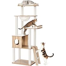 71OwpVh145L._AC_UL210_SR210,