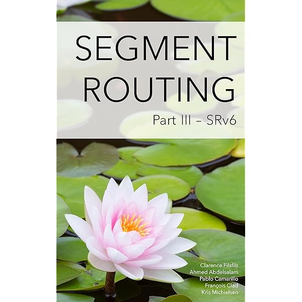 洋書 Segment Routing, Part I Amazon.co.jp: Segment Routing, Part I (English Edition) eBook