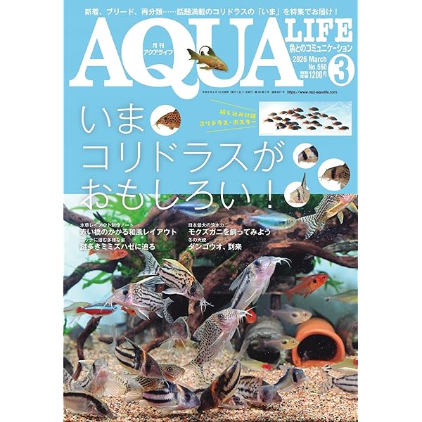 アクアライフ 2023年1月号 (2022-12-16) [雑誌] | エムピージェー