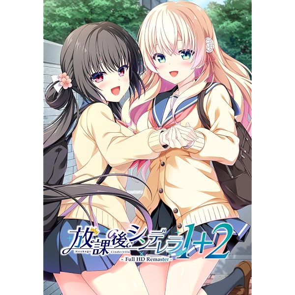 Amazon.co.jp: 放課後シンデレラ 長南陽佳 F6キャンバスアート : PCソフト