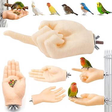 Amazon.co.jp 最新リリース: 鳥用止まり木 の新着ランキングです。