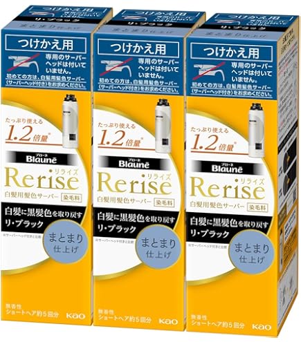 Rerise 白髪染め グレーアレンジ 6本セット　まとまり仕上げ Rerise 白髪染め グレーアレンジ 6本セット まとまり仕上げ Rerise