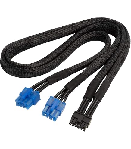 Amazon | COMeap (2-Pack) 6 Pin Male to 8 Pin (6+2) Male PCI