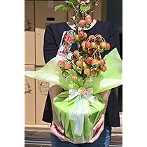 71P4qFVBQjL._AC_UL210_SR210,