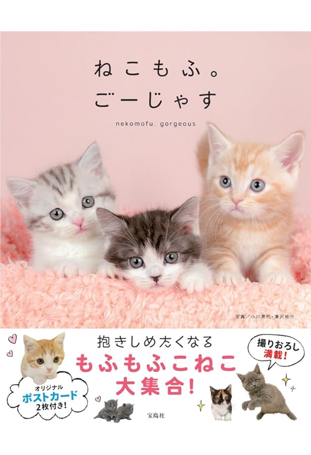 手乗りプチ猫?中古激レア8.5cm 手乗りねこ | 小川 晃代, 湯沢 祐介 |本 | 通販 | Amazon