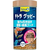 TETRA テトラ　グッピー　75g 5個　グッピーの主食 Amazon | テトラ(Tetra) グッピー 70G 熱帯魚の餌 善玉菌の増殖を助け