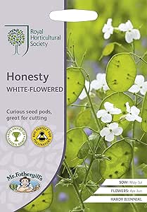 Amazon 輸入種子 Mr Fothergill S Seeds Royal Horticultural Society Honesty White Flowered Rhs オネスティ ルナリア ホワイト フラワード ミスター フォザーギルズシード 花