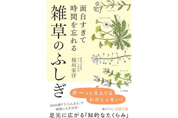 面白すぎて時間を忘れる雑草のふしぎ　足元に広がる「知的なたくらみ」 (王様文庫)