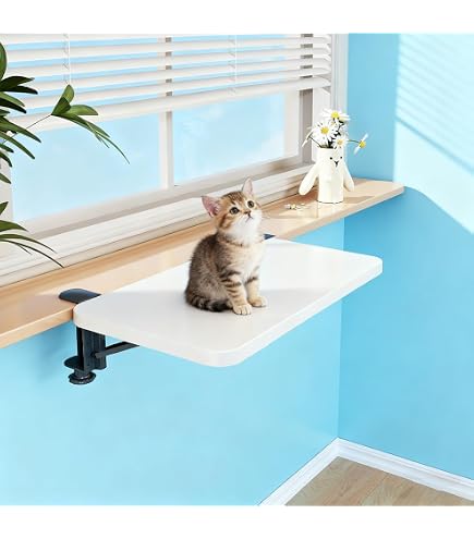 Amazon.co.jp: キャティーマン (CattyMan) 木製 猫専用見晴らし台