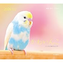 鳥 様 ご購入予定品 キンカチョウ 多頭飼いのデメリット | きゃぴあてれび 公式サイト