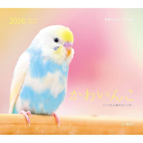2026年カレンダー 鳥と暮らす インコ&オウム (誠文堂新光社カレンダー