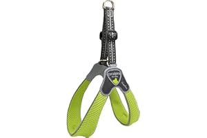 Coralpina - Cinquetorri Harness for Small to Medium Dogs, Soft and Breathable, Does Not Harm Fur or Hinder Movement, Green, Size 6