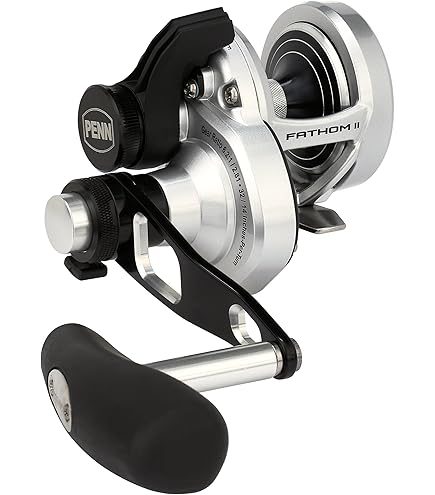 Amazon | PENN(ペン) セネターメタル PN SENATOR METAL REEL 113H2 底