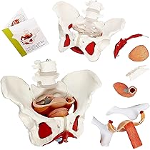 71PI5Xz34FL._AC_UL210_SR210,