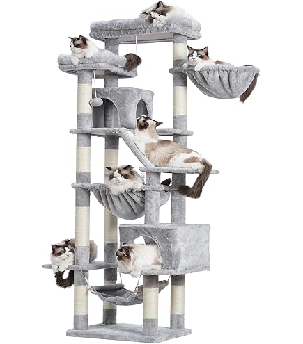 Amazon | Heyblyキャットタワー 大型猫用 高さ202cm 複数猫飼育向け 高