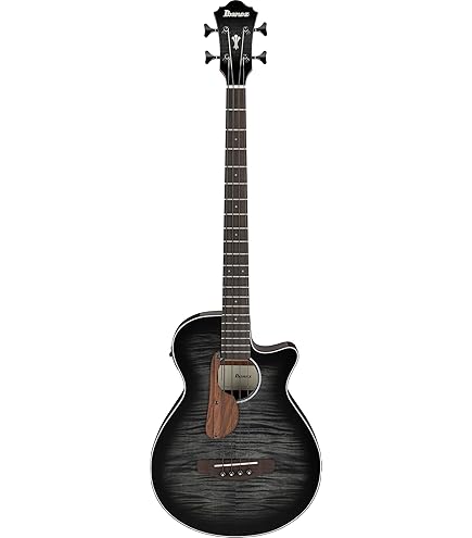 Amazon | Ibanez(アイバニーズ) セミアコースティック・エレキ・ベース