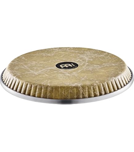Amazon | Latin Percussion LPA653 LP Aspire Slide Mount Double