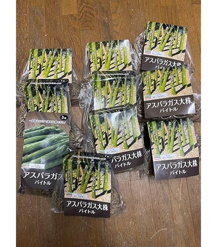 Amazon｜アスパラ苗12本ゼンユウガリバー｜観葉植物 オンライン通販