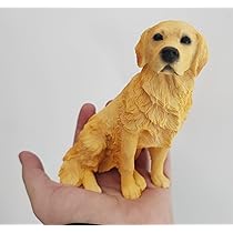 71PNoRf-lHL._AC_UL210_SR210,