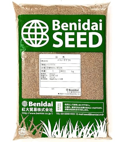 パパイヤ種子（タネ）　品種名　リオグランデ　100g（約6500粒） 楽天市場】【種子】バミューダグラス リオ(コート) タキイ種苗の