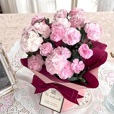 ITANSE G.D.ルイーズ 6号鉢 国産接ぎ木 ハイブリッドティー バラ