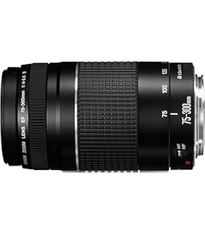 Amazon | Canon デジタル一眼レフカメラ EOS Kiss X2 ボディ
