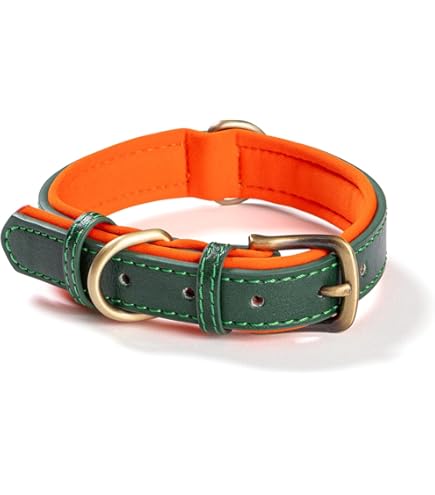 Amazon | 犬 首輪 軽量 レザー かわいい おしゃれ 犬の首輪 (オレンジ