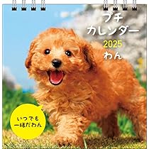 71PVvv-bwgL._AC_UL210_SR210,