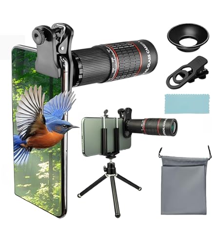 Amazon.co.jp: Canon 単焦点望遠レンズ EF200mm F2L IS USM フルサイズ