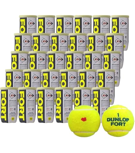 DUNLOP（ダンロップ）FORT（フォート）[4個入]1箱（15缶/60球）+ボールバッグ DAC-2002 2点セット Amazon | DUNLOP（ダンロップ）FORT（フォート）[4個入]1箱（15缶/60球