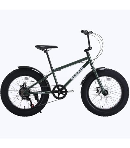 Amazon | ACEXIS ファットバイク Fat City Cruiser BMX 自転車 シティ