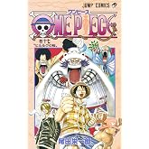 ONE PIECE 17